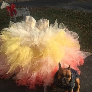 quinceanera/prom/ etc dress